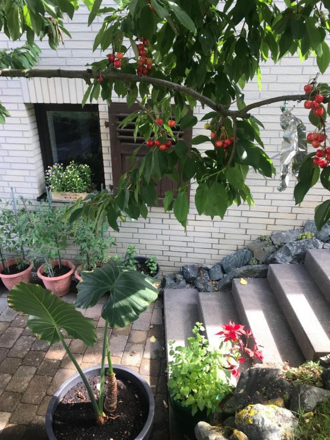 Weinbach Ferienwohnung Am Weiltalradweg מראה חיצוני תמונה