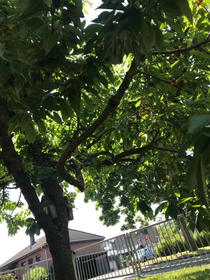 Weinbach Ferienwohnung Am Weiltalradweg מראה חיצוני תמונה